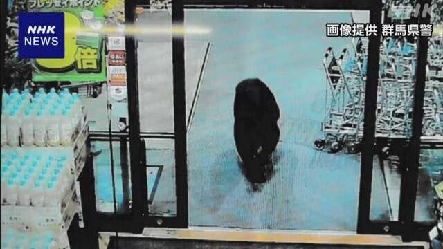 群馬県のスーパーに熊が出た　2人がけが