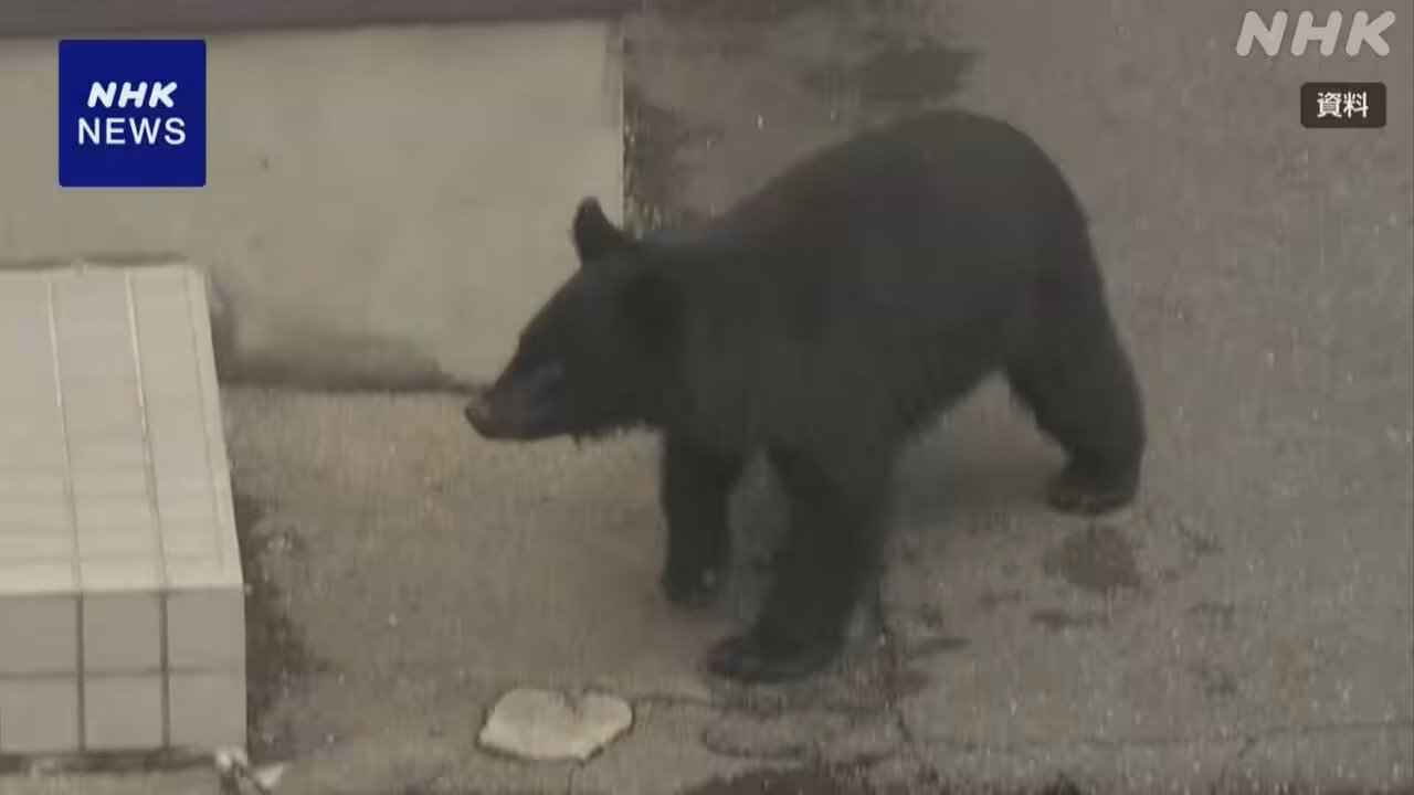 熊が人の住む所に来ないようにしたい